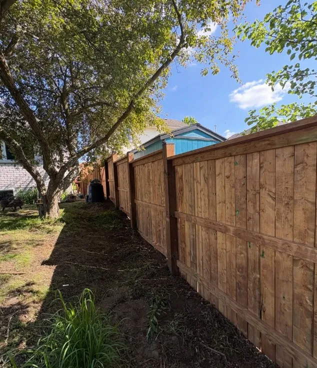 New wood privacy fence along a property line